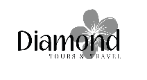 Diamond Logo logo preto
